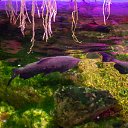 ���� ��������, �����-���������, 51 ��� - ��������� 5 ���� 2018 � ������ ���� ������� 05 ���� 18�