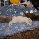 ���� ������, ����������� - ��������� 14 ������ 2018 � ������ ���� ����������