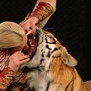 ���� ����, ��������� - ��������� 7 ������� 2018 � ������ ���� ����������