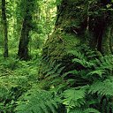 ���� Austin, ����, 40 ��� - ��������� 7 ������ 2018 � ������ ���� ����������