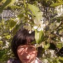 ���� ������, �����-���������, 63 ���� - ��������� 31 ��� 2018