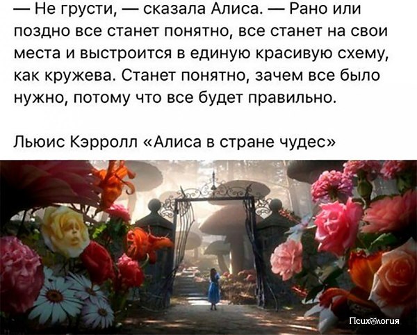 ��������� - 5 ����� 2018 � 18:51 - 82