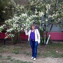 ���� �����, ���� - ��������� 4 ��� 2018 � ������ ���� ����������