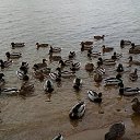 ���� �������, ������, 57 ��� - ��������� 9 ������ 2018 � ������ ������ ��������