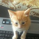 ���� ��, �����-��������� - ��������� 26 ������ 2018 � ������ ���� ��������