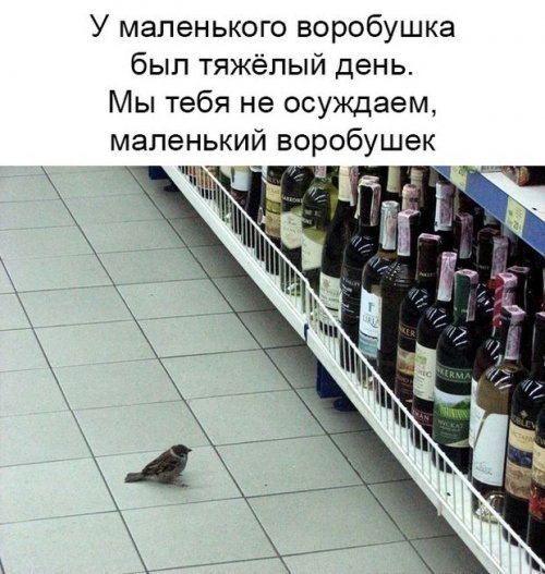   - 6  2018  13:40