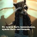 ���� �������, ������, 43 ���� - ��������� 30 ���� 2018
