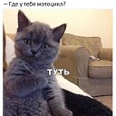 ���� �, ����, 47 ��� - ��������� 5 ���� 2018 � ������ ���� ����������