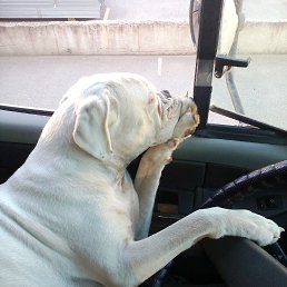 ���� ����, ����, 67 ��� - ��������� 9 ����� 2018