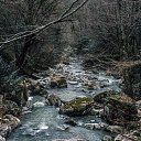 ���� ������, ���, 38 ��� - ��������� 19 ������ 2018 � ������ ������ ��������