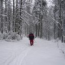 ���� ������, ������, 49 ��� - ��������� 12 ���� 2018 � ������ ���� ����������