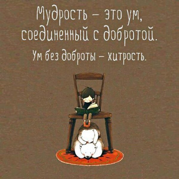 BEST | , ,  - 11  2018  03:41