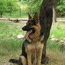 ���� �����, �����������, 49 ��� - ��������� 18 ���� 2018 � ������ ������ ��������