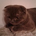 ���� ]{() � � -�]{ @, ������-��-���� - ��������� 15 ������� 2017 � ������ ���� ����������