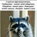 ���� �����, �������� - ��������� 8 ��� 2018 � ������ ���� ����������