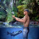 ���� �������, ����-�����������, 43 ���� - ��������� 25 ��� 2018