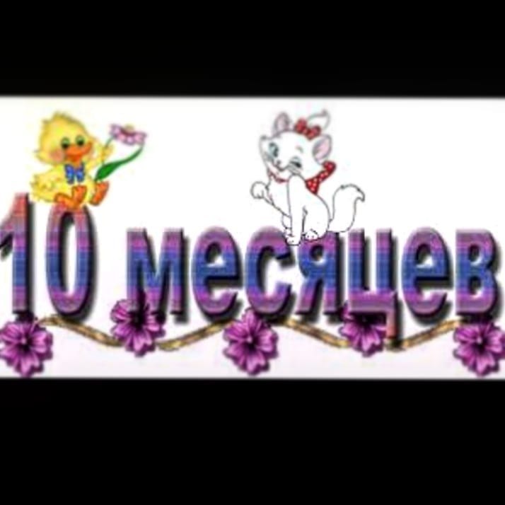 10  ,   ,  ,    .    ...