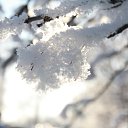 ���� �����, ����, 59 ��� - ��������� 4 ������ 2018 � ������ ���� ����������