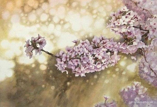 Masato Watanabe.
