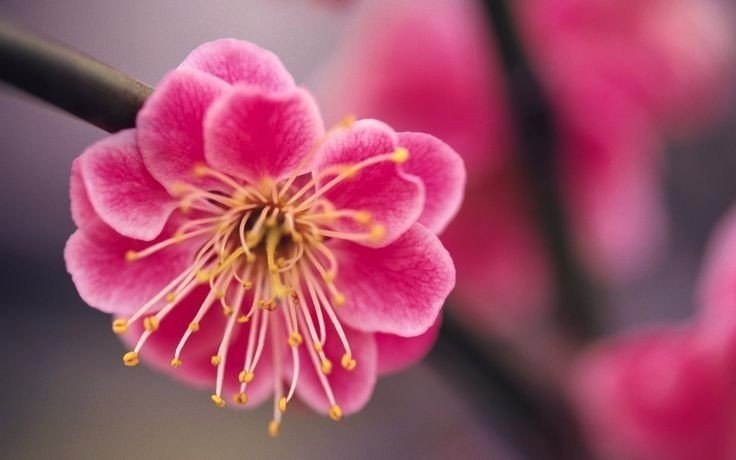 ����� ����� - ����� ����� �����, ���� ������� � ����� �����. - 5