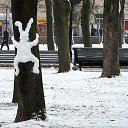 ���� ���, ������� - ��������� 29 ���� 2018 � ������ ���� ����������