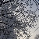 ���� Deeman, �����-���������, 42 ���� - ��������� 25 ������� 2018 � ������ ������ ��������