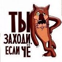 ���� ����, ��������, 67 ��� - ��������� 17 ��� 2018
