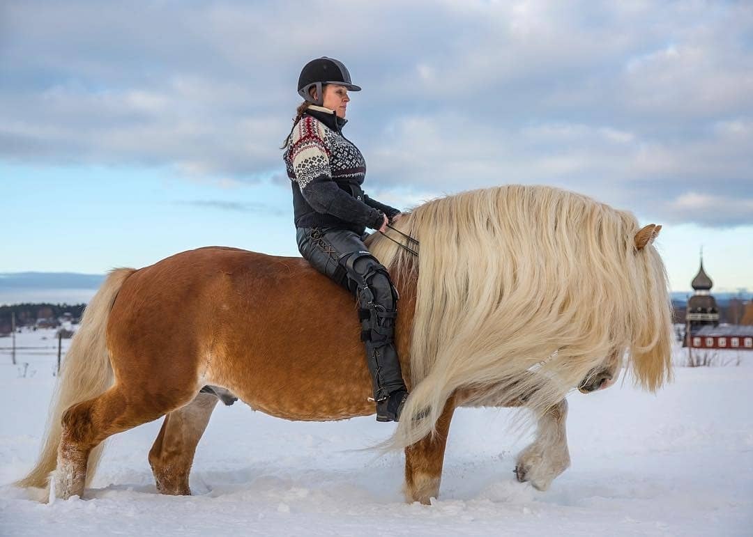  -   ! - 3  2018  03:36