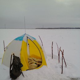 ���� ����, ������, 37 ��� - ��������� 10 ������� 2017