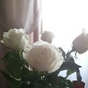 ���� �, ���������, 55 ��� - ��������� 26 ������ 2018 � ������ ���� ����������