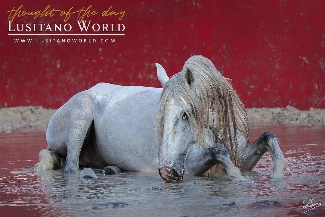  -   ! - 23  2018  02:29