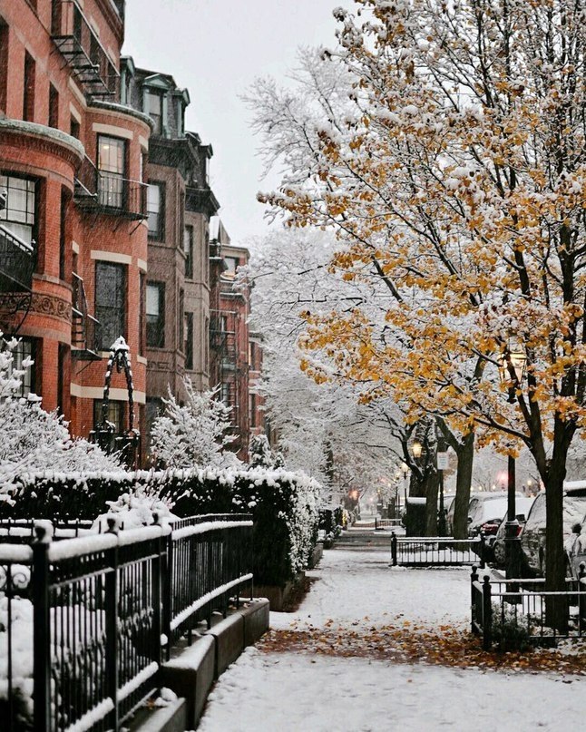 Zimma batson. Заснеженные улицы нью йорка. Бостон, штат массачусетс, сша зимой. Зима бостон массачусетс. Бостон зимой.