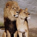 ���� ���������, ����� - ��������� 10 ��� 2018 � ������ ���� ����������