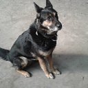  , , 67  -  5  2018    .