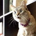 ���� ������, ���������, 45 ��� - ��������� 28 ������ 2018 � ������ ������ ��������