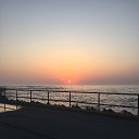 ���� ����, �����������, 42 ���� - ��������� 16 ��� 2018 � ������ ���� ����������