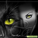 ���� ������, ������ - ��������� 8 ������ 2018