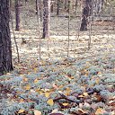 ���� Alex, ������ ��������, 40 ��� - ��������� 3 ������ 2018 � ������ ���� ����������