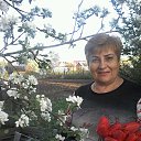 ���� �������, ����, 71 ��� - ��������� 8 ��� 2018 � ������ ���� ����������