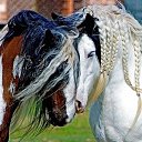 ���� �����, ����, 69 ��� - ��������� 2 ������ 2018 � ������ ������ ��������