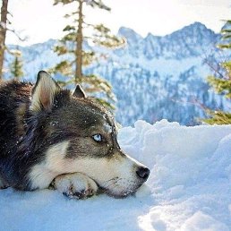 ���� Andrey, ������, 39 ��� - ��������� 5 ���� 2018
