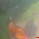 ���� �����, ���������, 30 ��� - ��������� 10 ���� 2018 � ������ ������ ��������