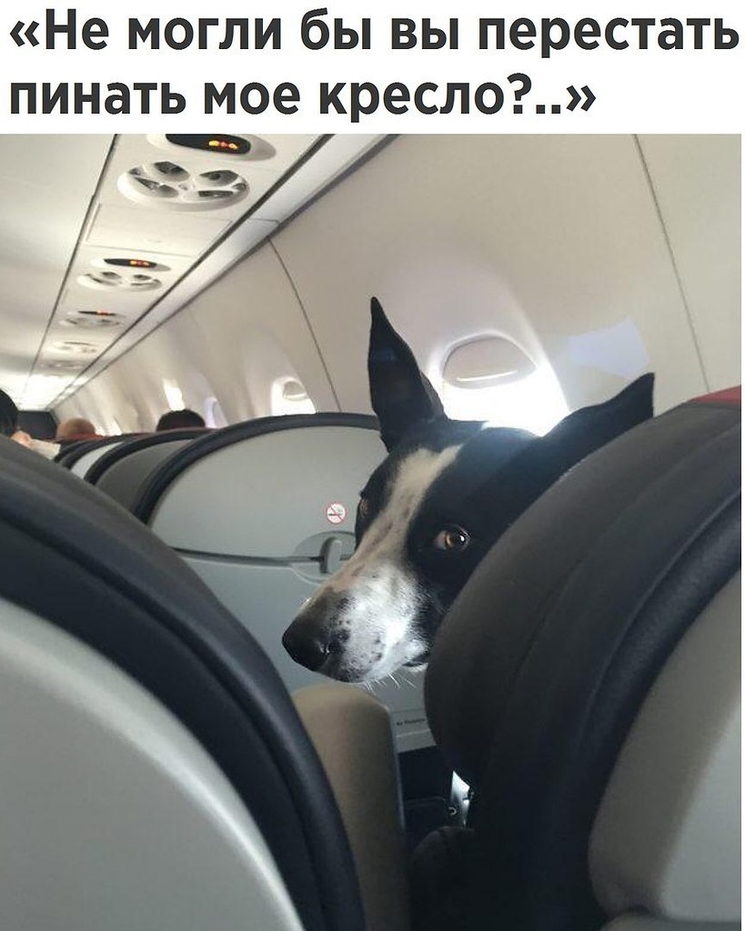 ������� - 11 ������� 2017 � 03:31