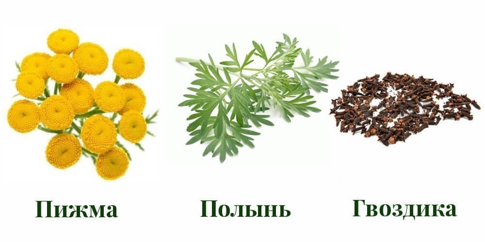 2 ВАРИАНТА РУССКОЙ ТРОЙЧАТКИ ДОКТОРА ИВЧЕНКО: Убивают более 100 видов паразитов и грибков! В ...