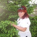 ���� �������, ������, 66 ��� - ��������� 23 ������ 2017 � ������ ���� ����������