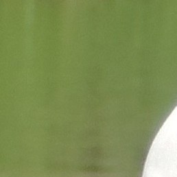 �������, �������, 50 ���