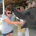 ���� �������, ������������, 59 ��� - ��������� 5 ����� 2018 � ������ ���� ����������