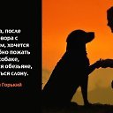���� ���������, ������, 61 ��� - ��������� 27 ������� 2017 � ������ ����������� ����