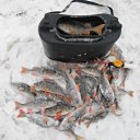 ���� �������, ������� ����� - ��������� 28 ������ 2018 � ������ ������ ��������