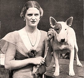  . - 8  2017  03:49 - 4